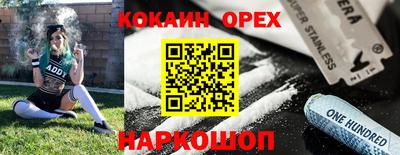 гашик Партизанск